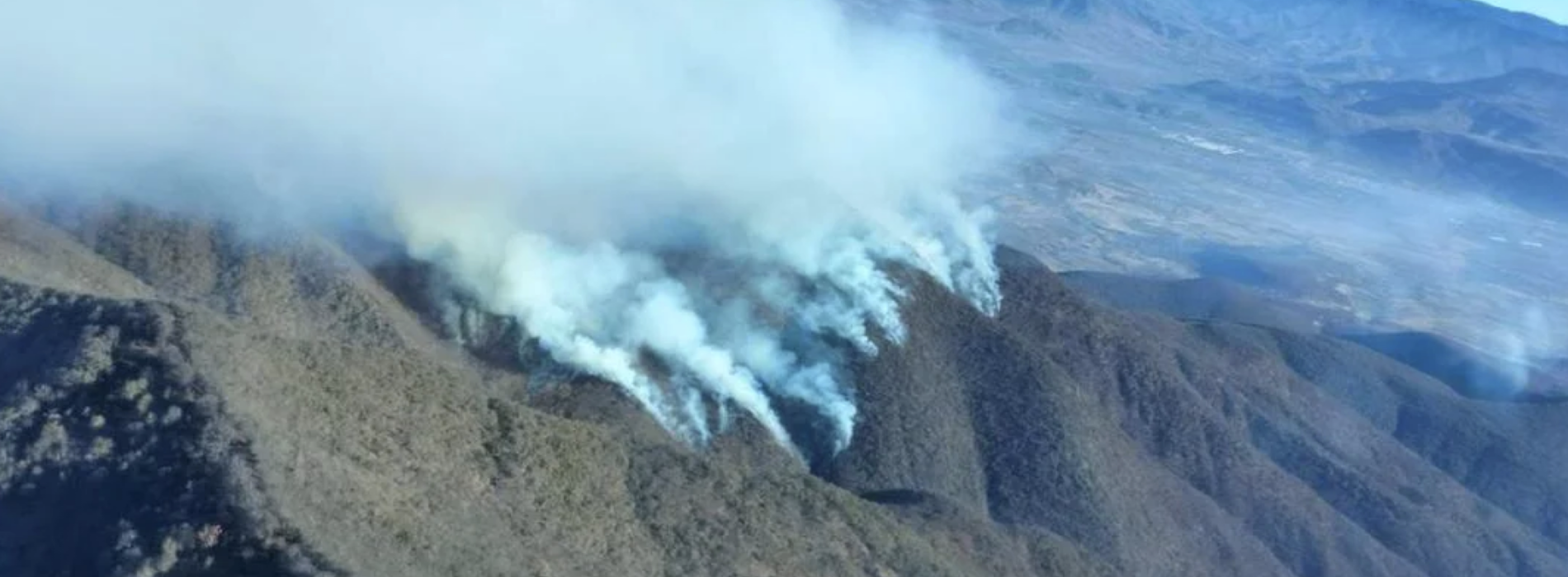 Enfrenta Oaxaca situación crítica por 51 incendios forestales; sequía los hace más explosivos: Coesfo